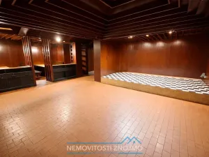 Pronájem obchodního prostoru, Znojmo, Holandská, 375 m2