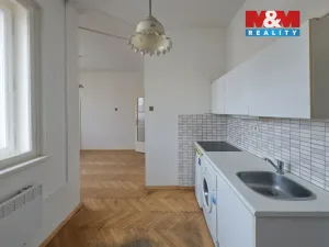 Pronájem bytu 1+kk, Praha - Nusle, Jaromírova, 25 m2