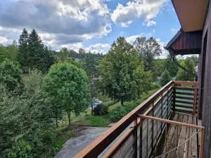 Pronájem bytu 1+kk, Olešná, 25 m2