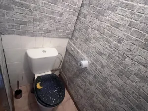 Pronájem bytu 3+1, Karlovy Vary, Vítězná, 74 m2