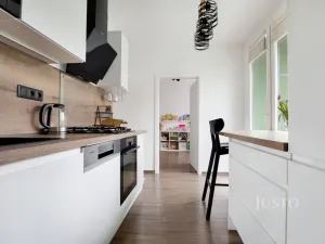 Prodej bytu 3+1, Ústí nad Labem - Střekov, Kamenná, 65 m2