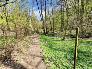 Prodej chaty, Brno - Bystrc, 24 m2