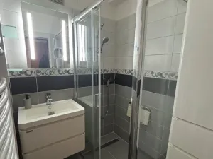 Prodej vícegeneračního domu, Brno, Jánošíkova, 160 m2