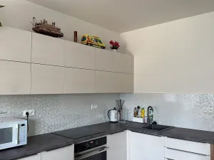 Pronájem bytu 1+kk, Svémyslice, 30 m2