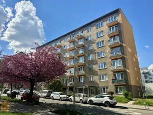 Pronájem bytu 3+1, Brno - Královo Pole, Svatopluka Čecha, 74 m2