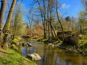 Prodej chaty, Ždírec - Žďár, 50 m2