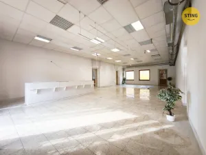 Prodej rodinného domu, Brtnice, Legionářská, 210 m2