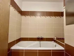 Pronájem bytu 2+kk, Ostrava - Slezská Ostrava, Michálkovická, 45 m2