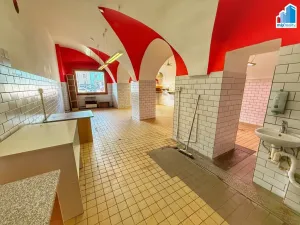 Pronájem obchodního prostoru, Planá, náměstí Svobody, 95 m2