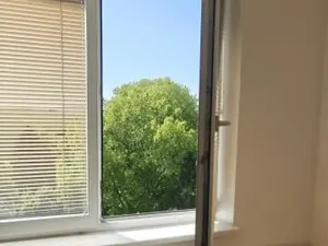 Pronájem pokoje, Brno, Krymská, 16 m2