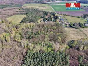 Prodej lesa, Sadská, 1964 m2