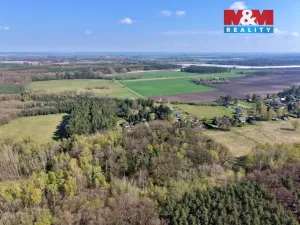 Prodej lesa, Sadská, 1964 m2