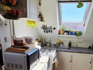 Pronájem bytu 2+kk, Brno - Černovice, Řehořova, 26 m2