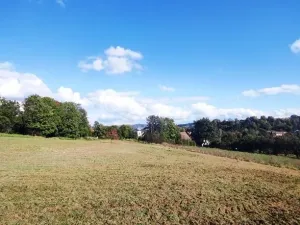 Prodej pozemku pro bydlení, Postupice, 4099 m2