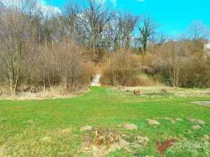 Pronájem rodinného domu, Niměřice - Dolní Cetno, 100 m2