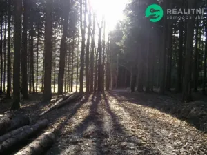 Prodej ubytování, Čaková, lfdlkdsa, 775 m2