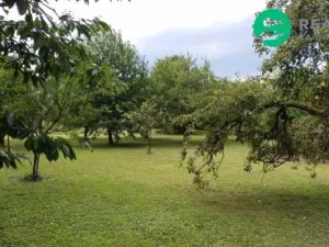 Prodej pozemku pro bydlení, Doudleby nad Orlicí, Fűgnerova, 1901 m2