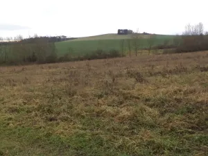 Prodej pole, Srby, 7890 m2