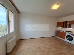 Pronájem bytu 1+kk, Praha - Braník, Nad lesním divadlem, 24 m2