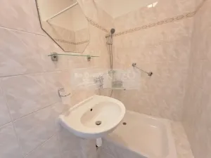 Pronájem bytu 1+kk, Praha - Braník, Nad lesním divadlem, 24 m2