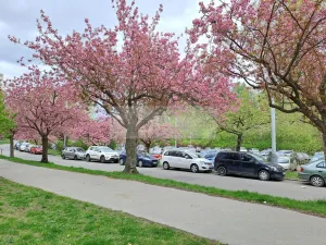 Pronájem bytu 1+kk, Praha - Braník, Nad lesním divadlem, 24 m2