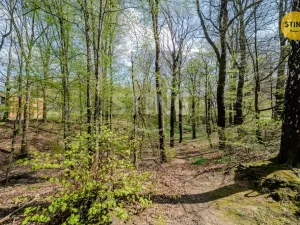 Prodej bytu 3+1, Ostrava, Lumírova, 67 m2