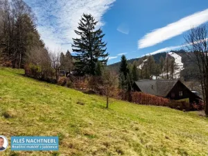Prodej pozemku, Albrechtice v Jizerských horách, 984 m2