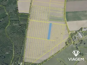 Prodej podílu pole, Kostelec nad Černými lesy, 2295 m2