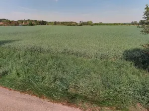 Prodej pole, Lysá nad Labem, 4582 m2