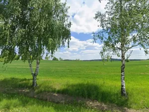 Prodej zahrady, Strmilov, 27570 m2