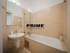 Pronájem bytu 5+1, Praha - Staré Město, Na Perštýně, 197 m2