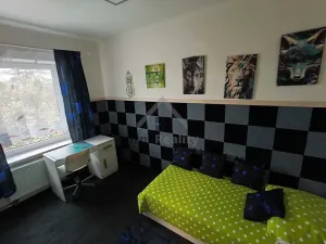 Prodej rodinného domu, České Velenice, Komenského, 450 m2