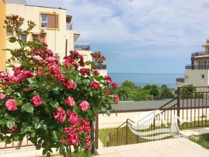 Prodej bytu 1+kk, Bjala, Bulharsko, 32 m2