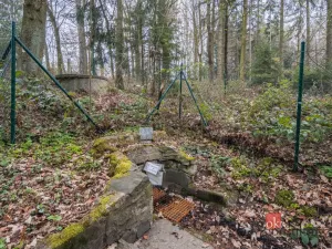 Prodej chaty, Tehov, Ke Srubům, 43 m2