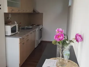 Pronájem bytu 1+kk, Hradec Králové - Nový Hradec Králové, Pod Zámečkem, 48 m2