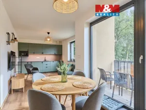 Prodej bytu 2+kk, Černý Důl, 42 m2