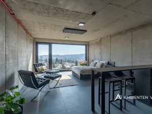 Pronájem bytu 1+kk, Brno, Královopolská, 38 m2