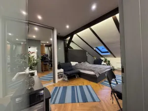 Prodej bytu 1+kk, Praha - Vinohrady, Sázavská, 45 m2