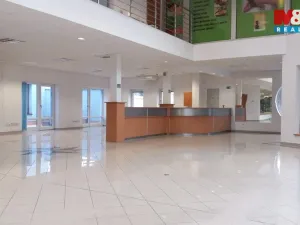 Pronájem obchodního prostoru, Opava - Předměstí, Krnovská, 135 m2