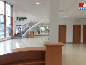 Pronájem obchodního prostoru, Opava - Předměstí, Krnovská, 135 m2