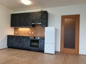Pronájem bytu 1+kk, Praha, U průhonu, 38 m2