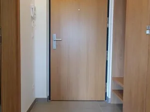 Pronájem bytu 1+kk, Praha, U průhonu, 38 m2