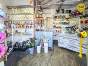 Pronájem komerční nemovitosti, Karviná, tř. Těreškovové, 15 m2