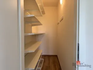 Pronájem bytu 3+kk, Plzeň - Černice, V Bezinkách, 99 m2