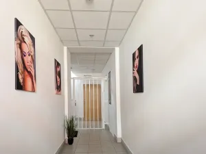 Pronájem obchodního prostoru, Brno, Tyršova, 120 m2