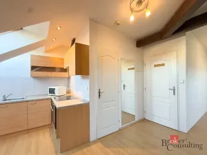 Pronájem bytu 1+kk, Plzeň - Jižní Předměstí, Husova, 42 m2