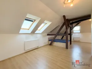Pronájem bytu 1+kk, Plzeň - Jižní Předměstí, Husova, 42 m2