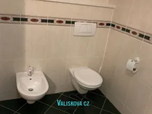 Pronájem bytu 1+kk, Kroměříž, Riegrovo náměstí, 29 m2