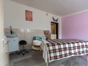 Prodej rodinného domu, Jihlava, Nad Přejezdem, 305 m2