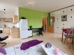 Pronájem bytu 1+kk, Brno, Bešůvka, 38 m2
